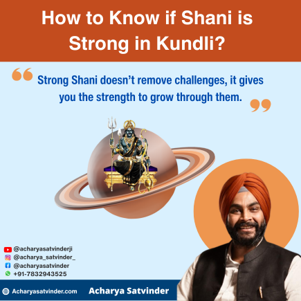 Read more about the article How to Know if Shani is Strong in Kundli– A Beginner’s Insight