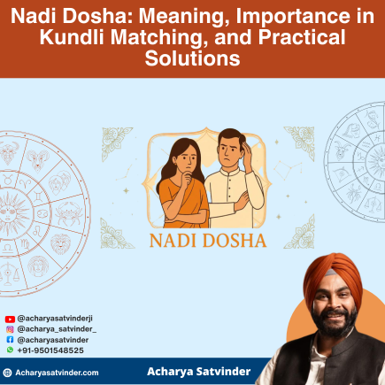 Read more about the article Nadi Dosha: Meaning, Importance in Kundli Matching, and Practical Solutions